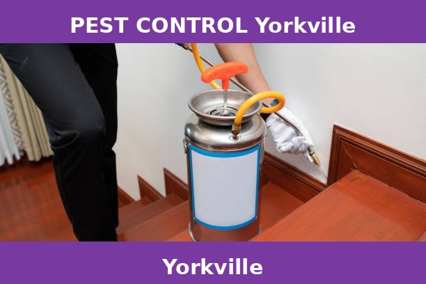 PEST CONTROL Yorkville